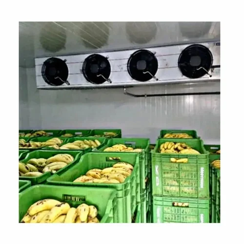 Fruit Ripening Cold Room