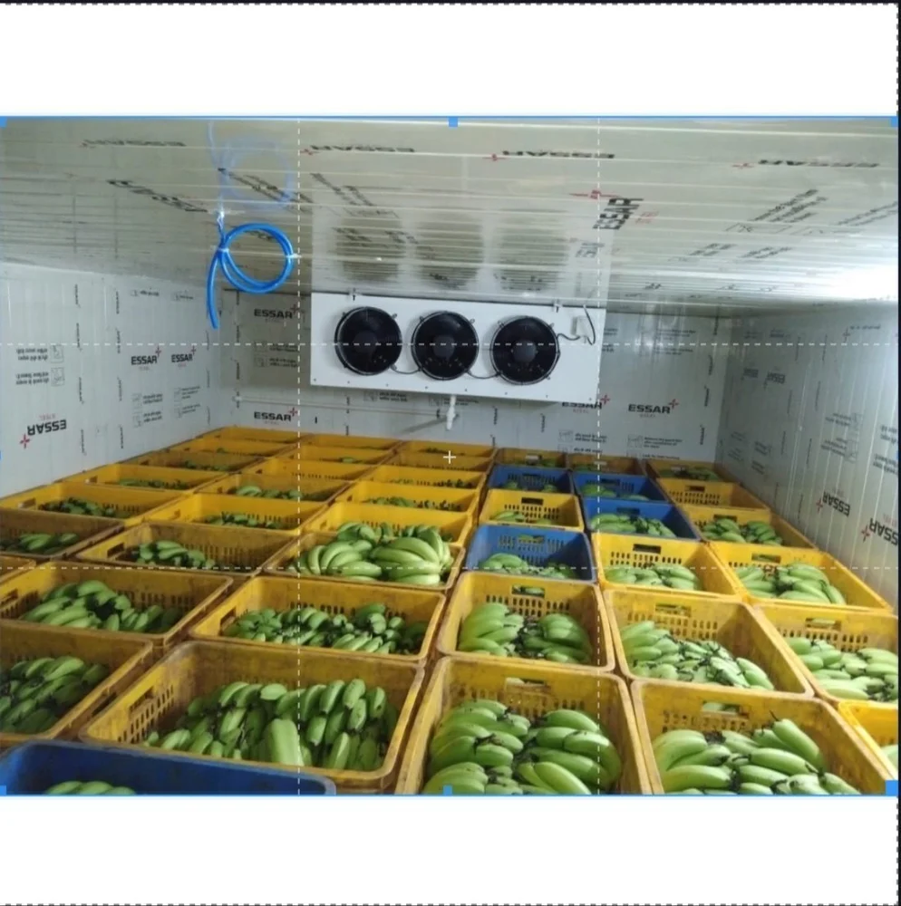 15 Ton Banana Ripening Chamber
