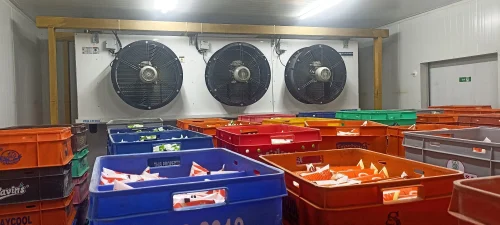 Curd Blast Room