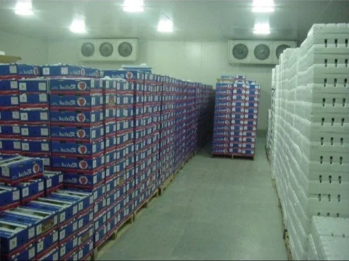 Ice Cream Cold Storage